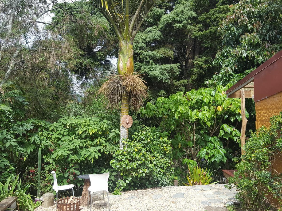 Chalet Karaka Takaka Kültér fotó